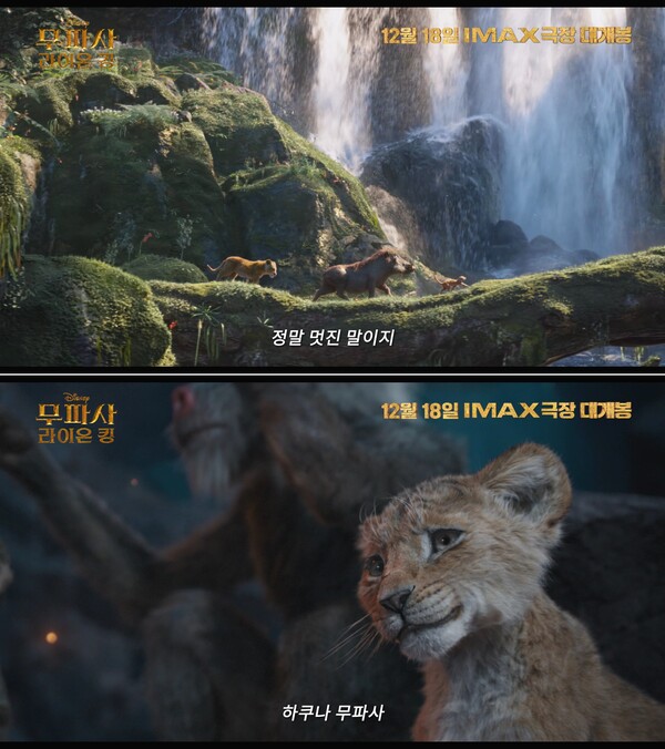 '라이온 킹' 위대한 전설의 시작→디즈니 오리지널 '무파사: 라이온 킹' 12월 18일 개봉 확정